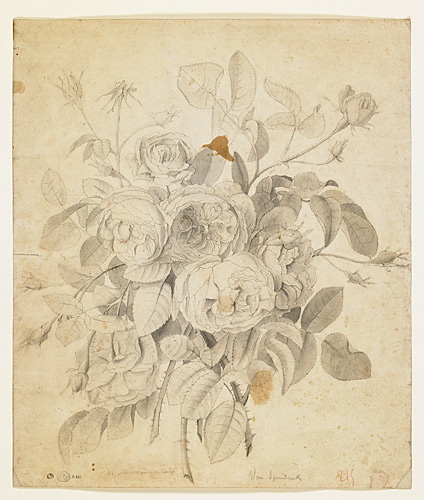 Gros bouquet de roses_0