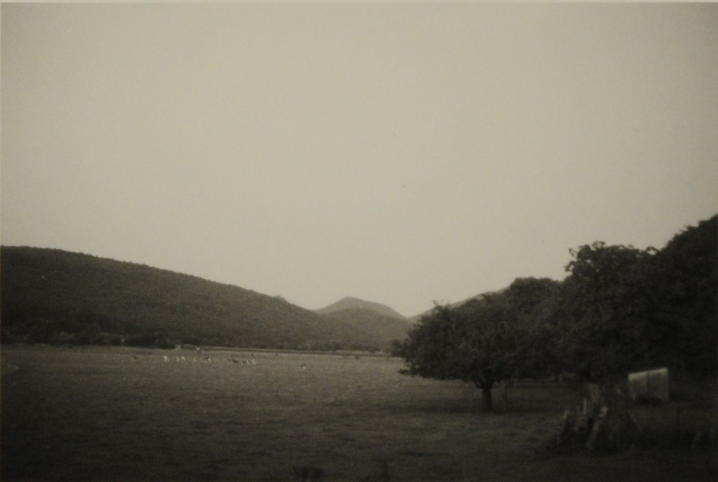 Près de Besançon 2008, grande prairie, arbres sur la droite et versants boisés à l'arrière-plan, Bernard Plossu, 2008