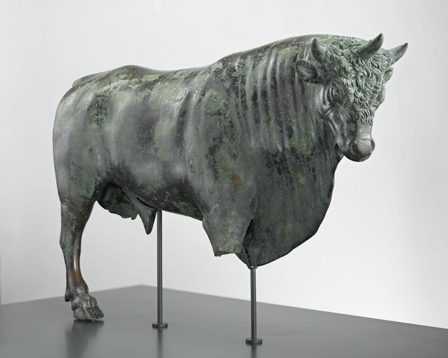 Taureau d'Avrigney, 50-100