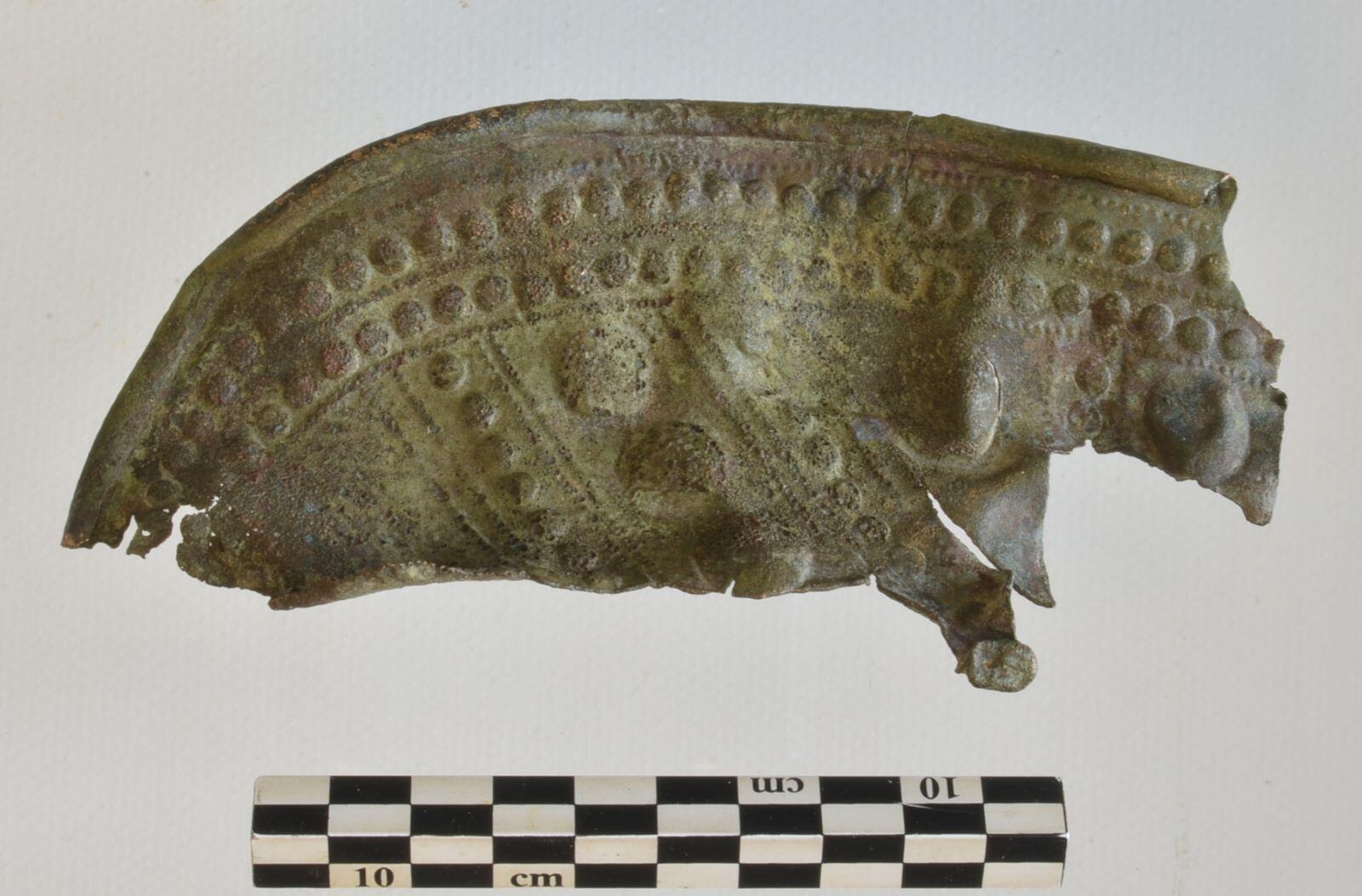 Cnémide, fragment_0