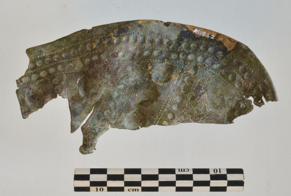 Cnémide, fragment_1