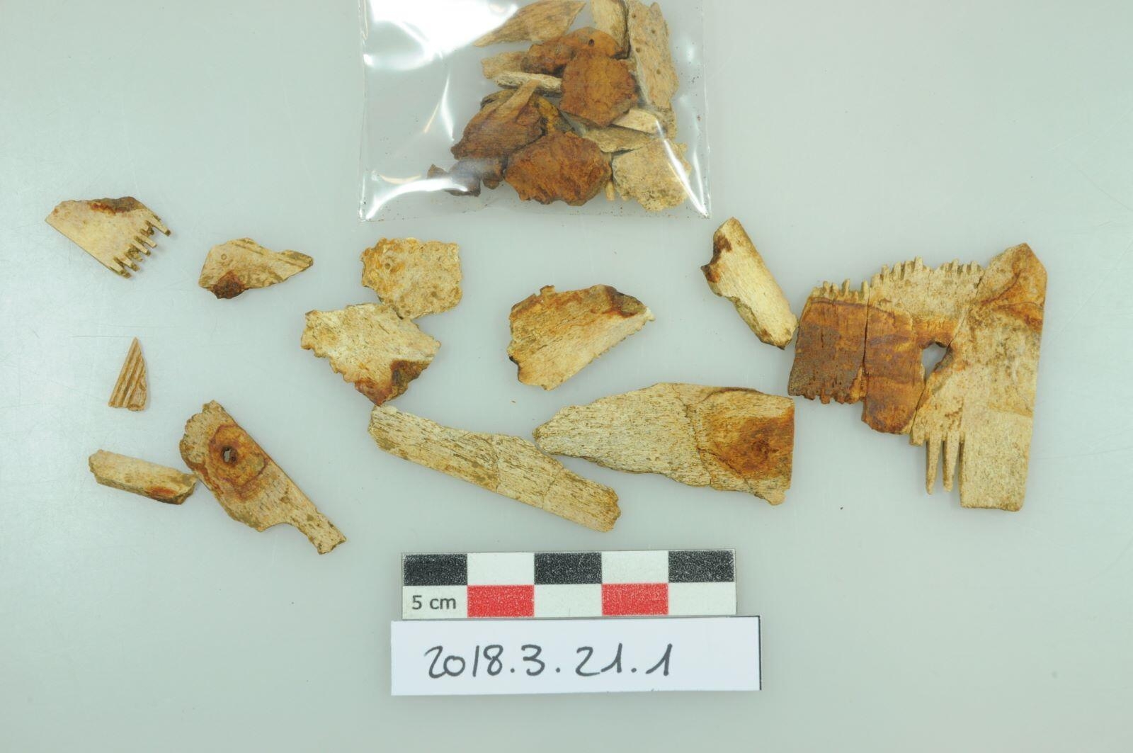 Peigne, étui (fragment, lot)_0