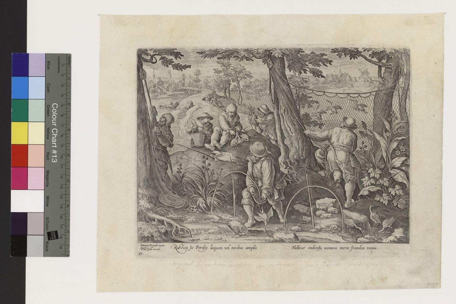 Chasse à la bécasse avec pièges et filets_0