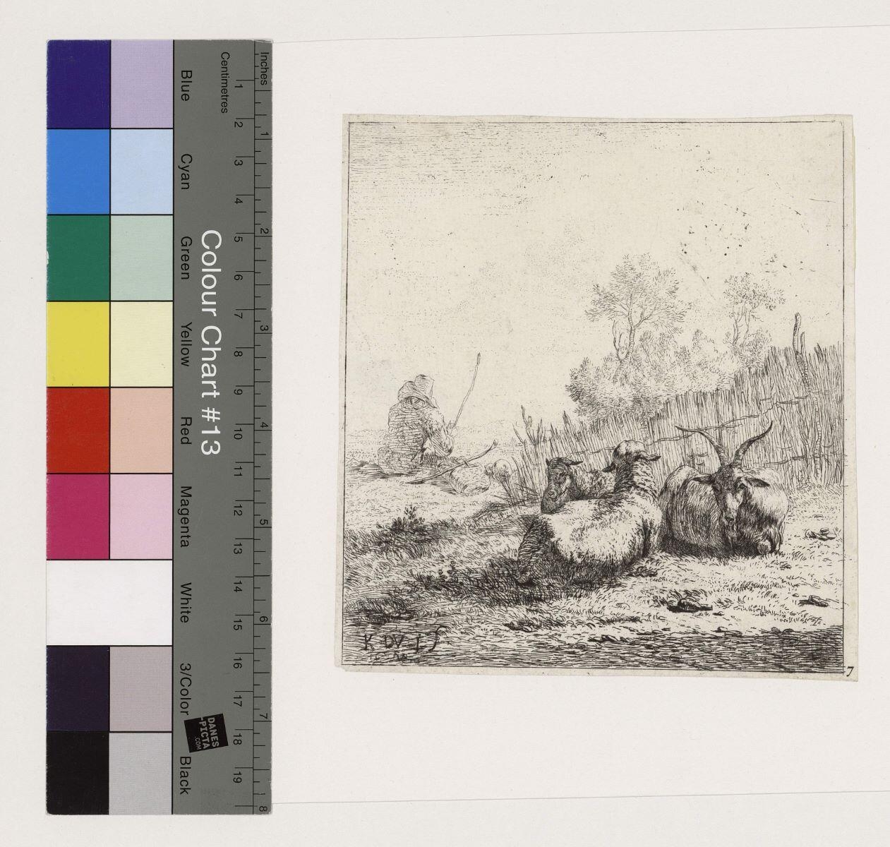 La Chèvre et les deux moutons allongés, Karel Dujardin, 1653
