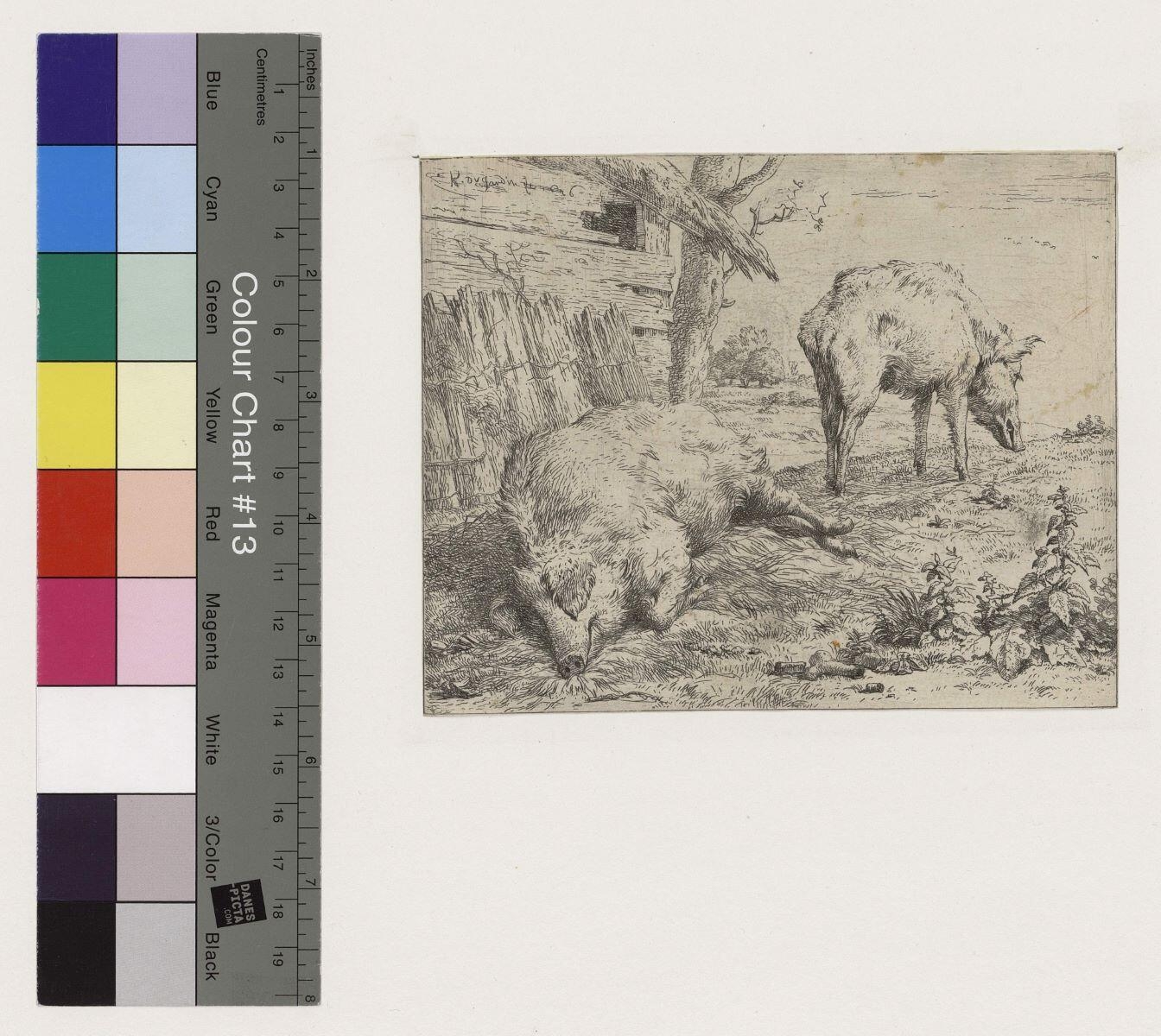 Les Deux cochons, Karel Dujardin, 1656