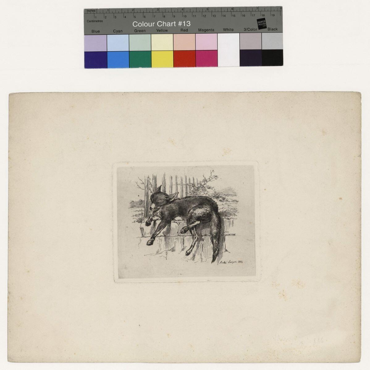 Chien endormi sur un muret, Auguste-André Lançon, 1864