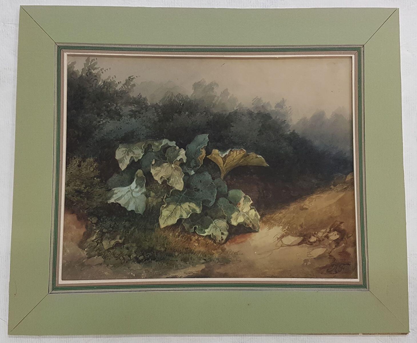 Etude de plantes (recto) ; Etude de tronc d'arbre (verso), Antonin Fanart, 2e moitié 19e siècle