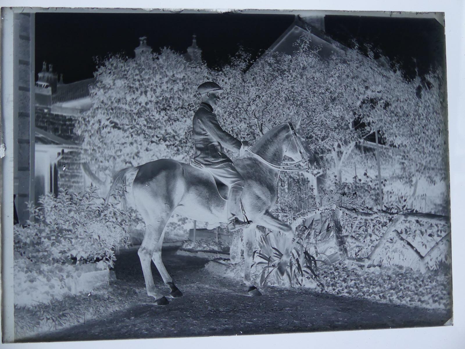 Cavalier (James Hertig ?) vu de profil sur son cheval en mouvement, Louis Hertig, 1er quart 20e siècle