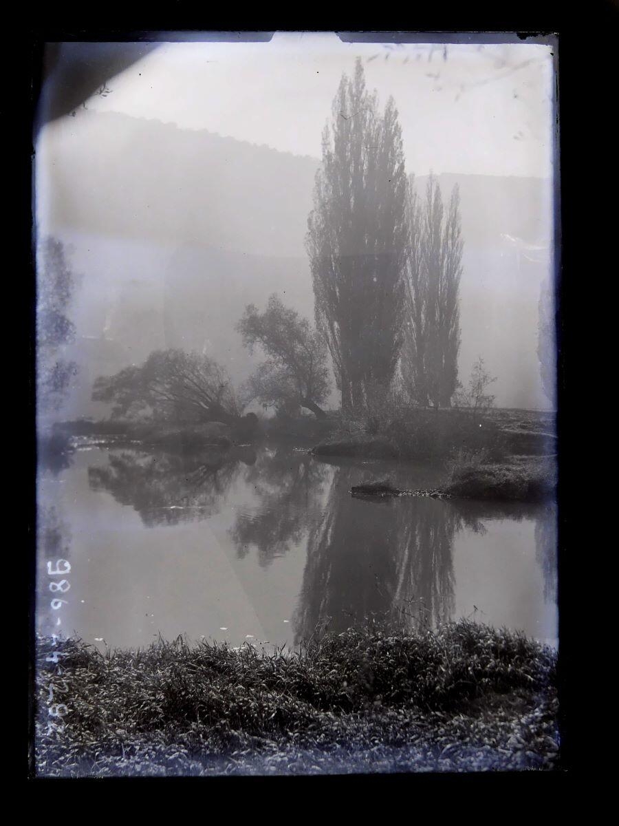 Arbres se reflétant dans un cours d'eau, Léon Tirode, 4e quart 19e siècle, 1ère moitié 20e siècle