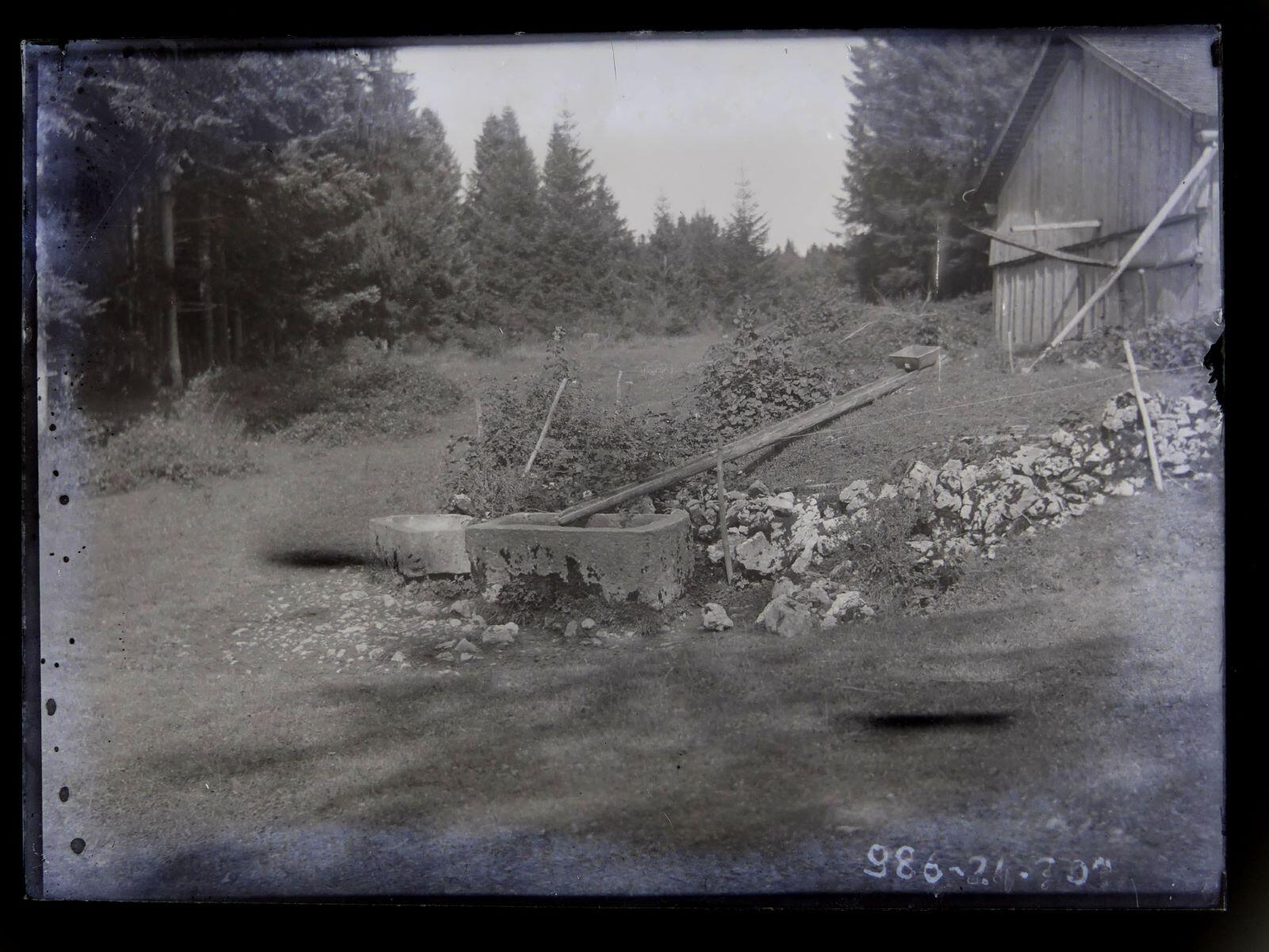 Bâtiment de ferme et abreuvoir en bordure de forêt, Léon Tirode, 4e quart 19e siècle, 1ère moitié 20e siècle
