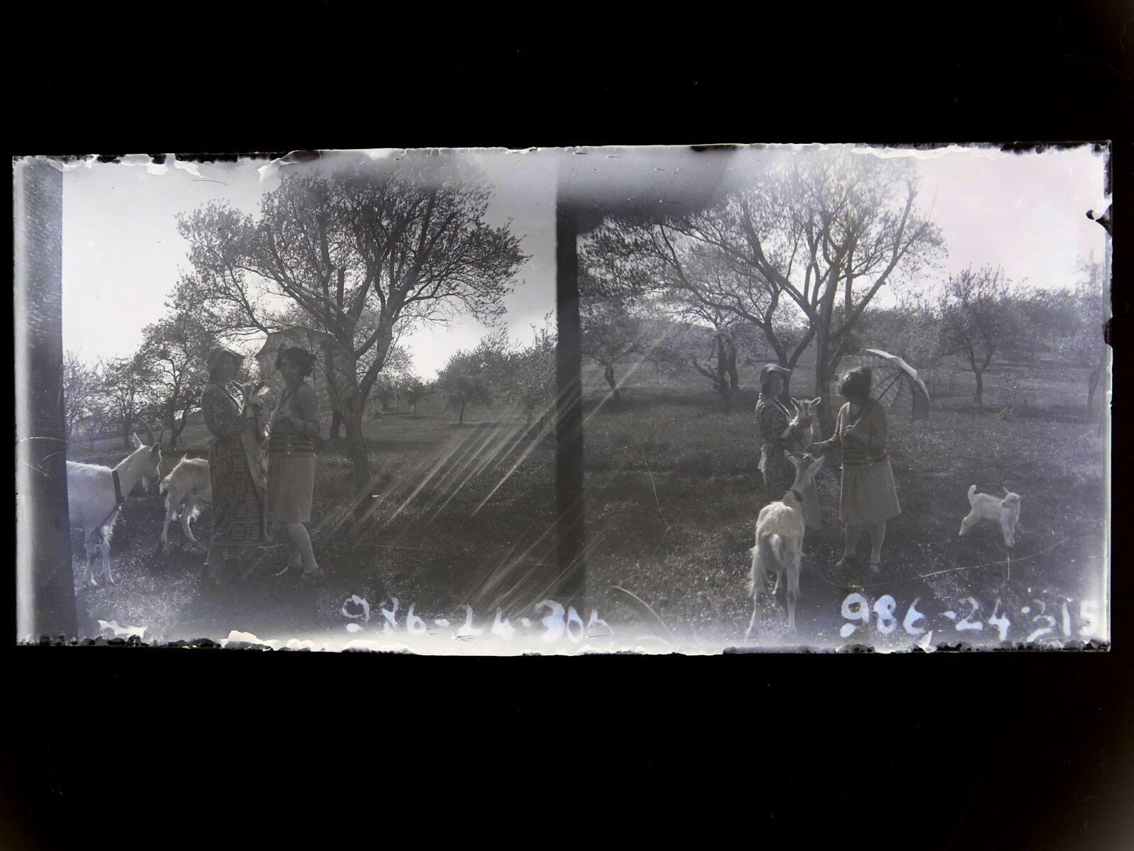 Deux femmes avec des chevreaux, Léon Tirode, 4e quart 19e siècle, 1ère moitié 20e siècle