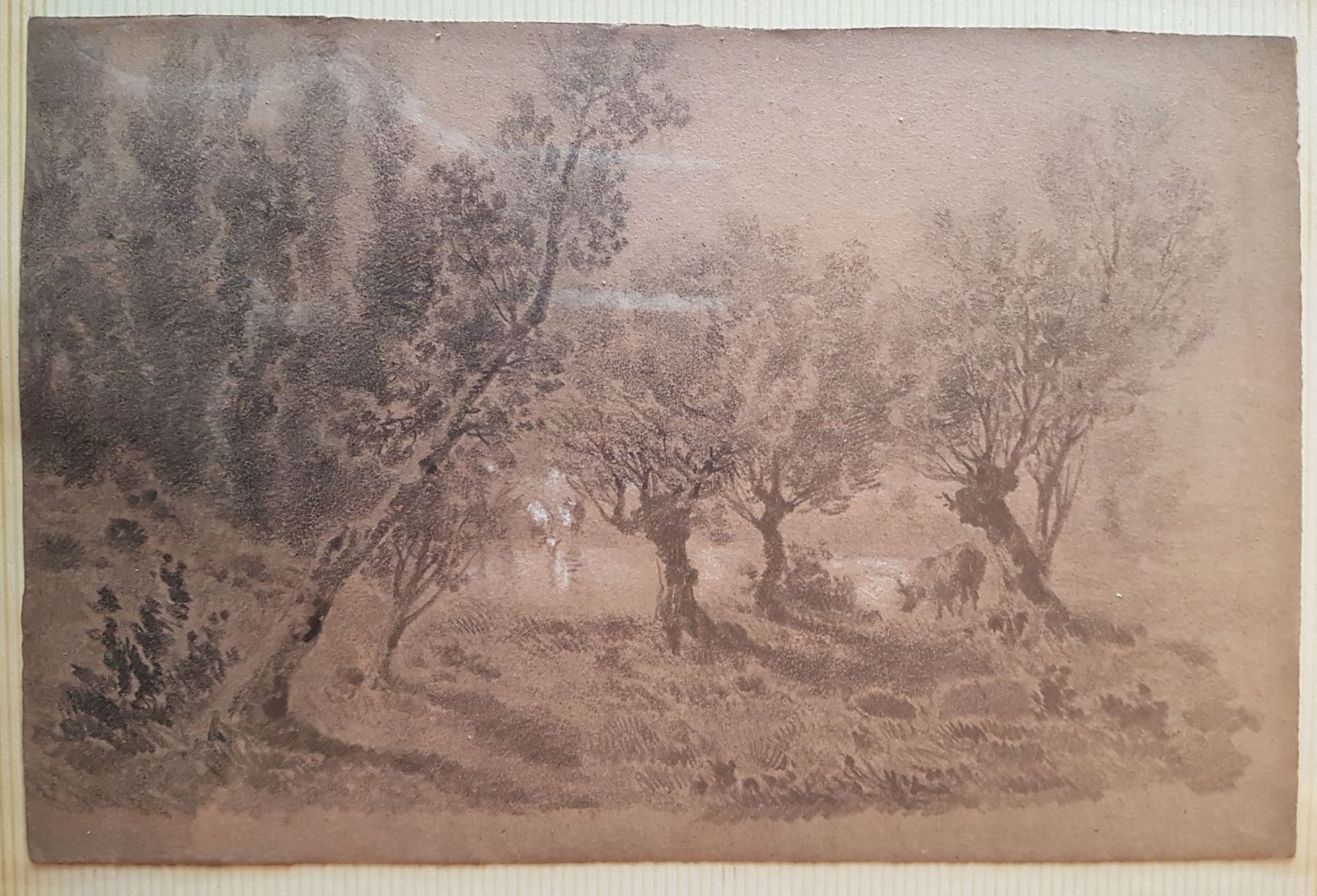 Les saules, Antonin Fanart, 2e moitié 19e siècle