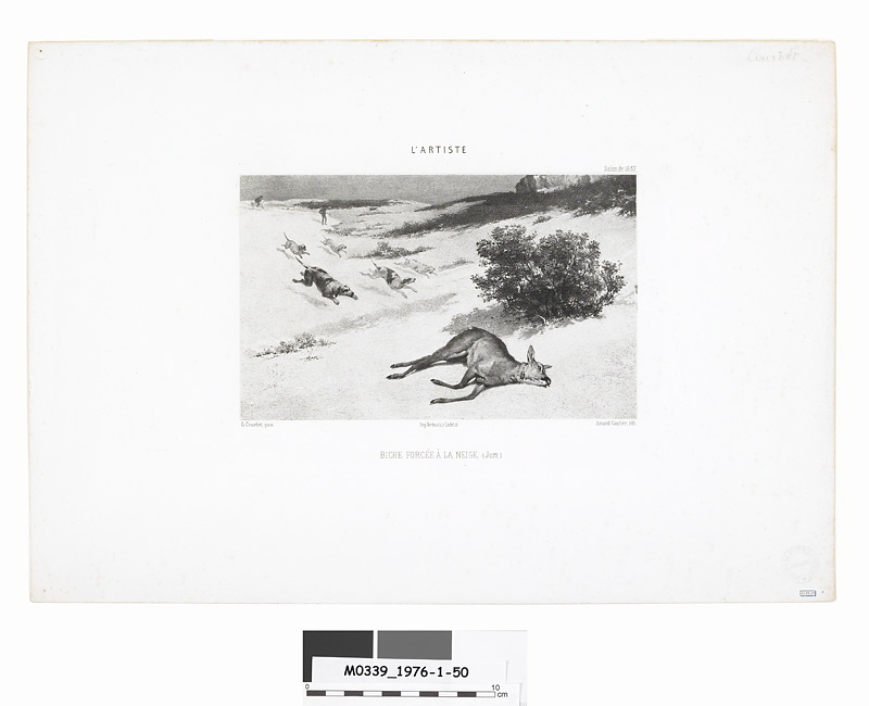 Biche forcée à la neige, Amand Gautier, 1857 après