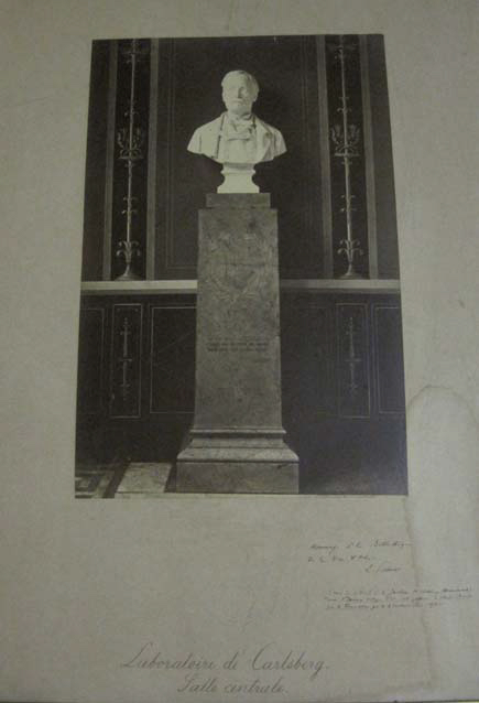 Photographie d’un buste de Louis Pasteur, 1895 avant