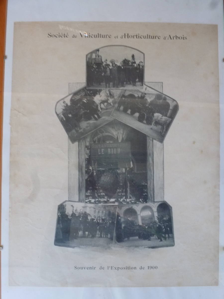 Société de Viticulture et d'Horticulture d'Arbois  : Souvenir de l'Exposition de 1900, 1900 après
