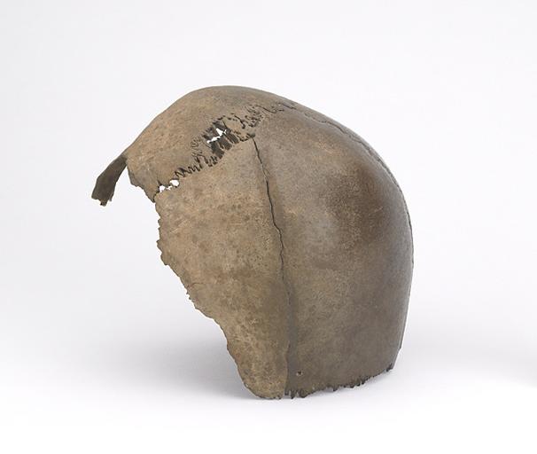 Calotte crânienne (humain, fragment)_1