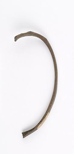 Côte (humain)_0