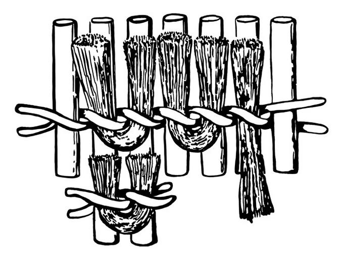 Objet indéterminé (fragment)_2