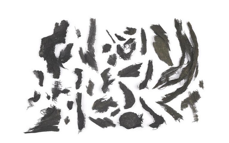 Tissu_0