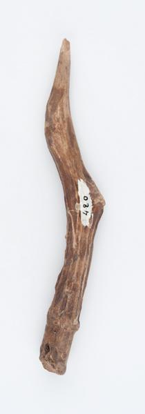 Ramure (fragment)_0