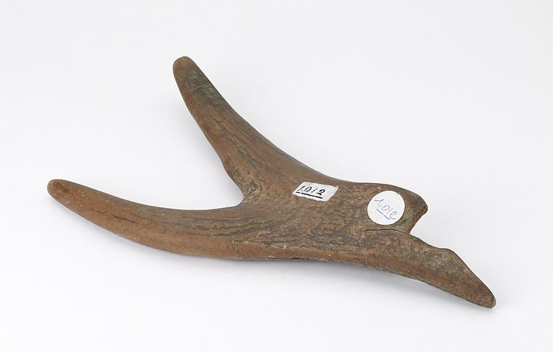 Ramure (fragment, époi)_0
