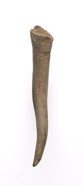 Pointe_1