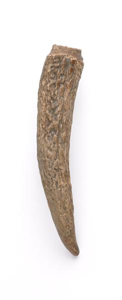Ramure (fragment)_0