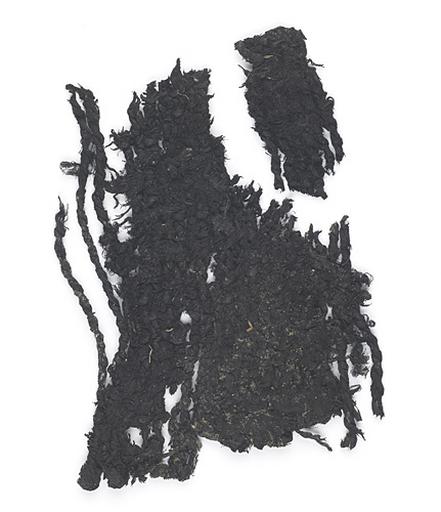 Tissu_0