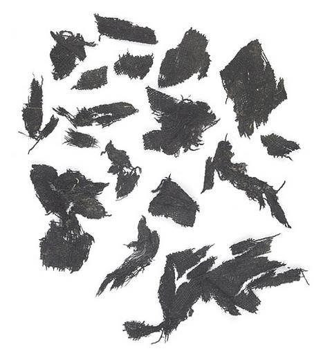 Tissu_0