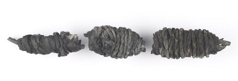 Panier (fragment, 3)_0