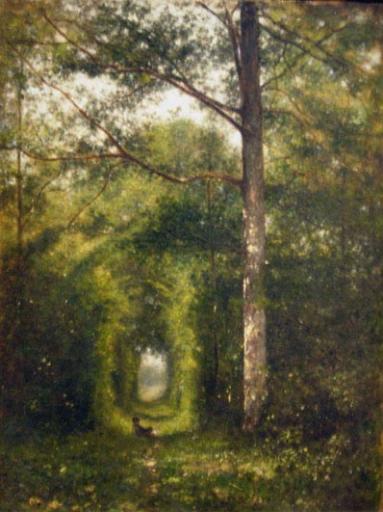 Sentier sous bois_0
