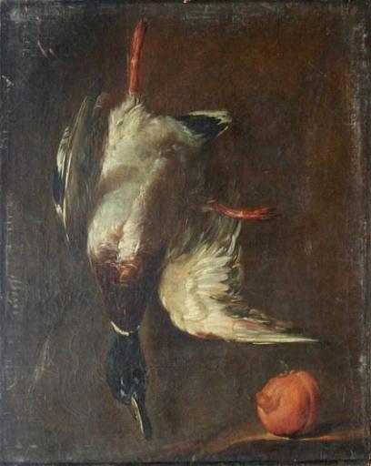 Nature morte : canard sauvage mort_0