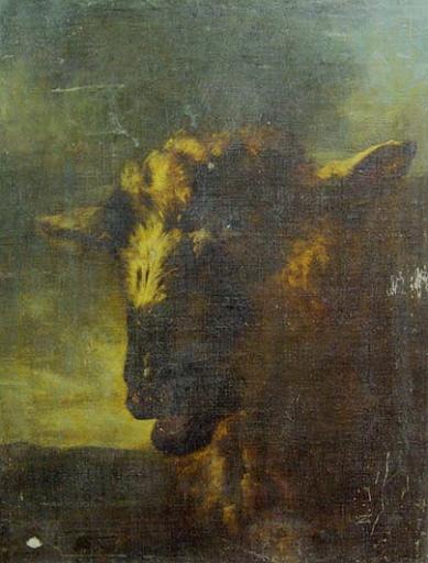 Tête de mouton_0