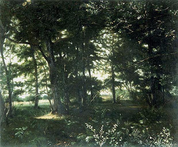Sous bois_0