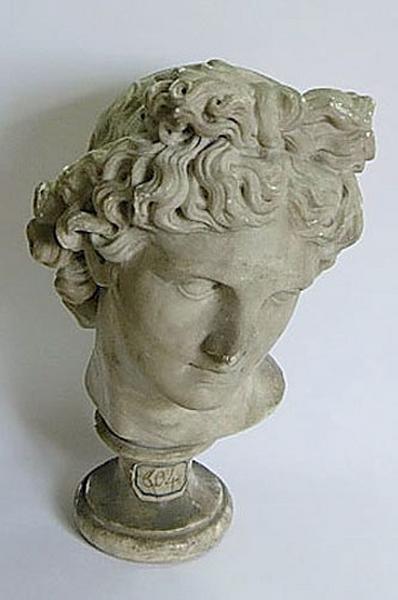 Tête de l'Apollon du Belvedère — Napoléon Fourquet