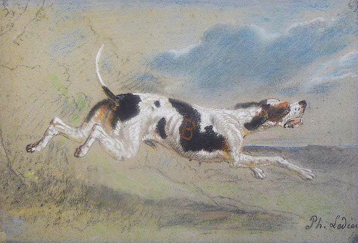 Chien courant, Philippe Ledieu, 19e siècle