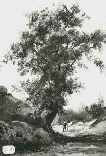 Etude d'arbres, Alexandre Pau De Saint-Martin, 1ère moitié 19e siècle