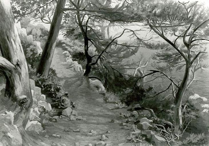 Chemin douanier à Cap Martin Roquebrune_0