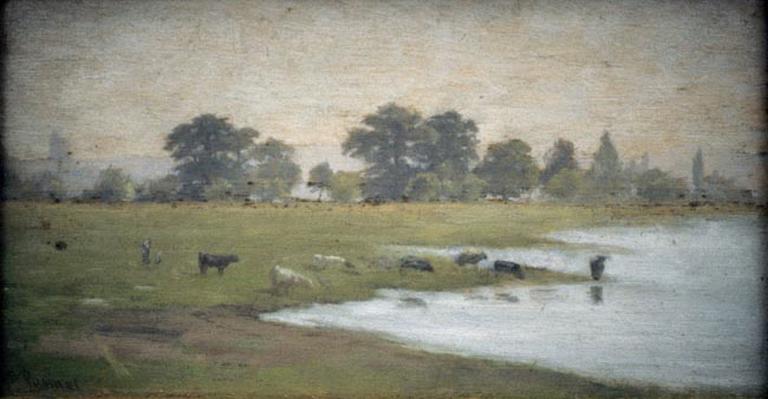 Paysage, lac de Constance_0