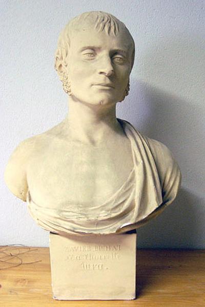 Buste en Hermès de Xavier Bichat_0