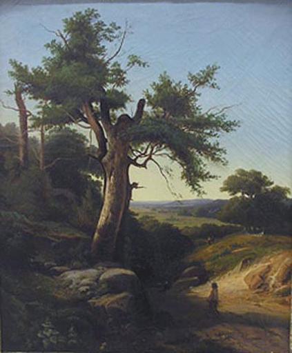 Paysage au grand chêne. Paysage, gros chêne_0