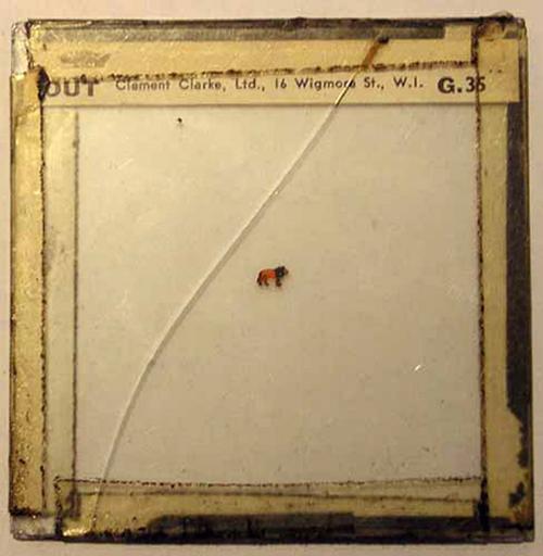 Mire, synoptophore (élément)_0