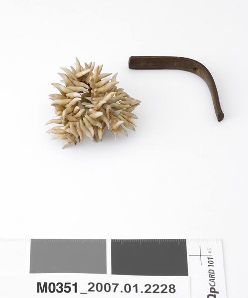 Boucle d'oreille_0