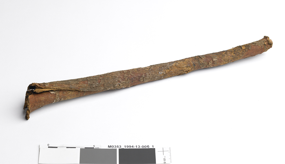Bâton (fragment)_0