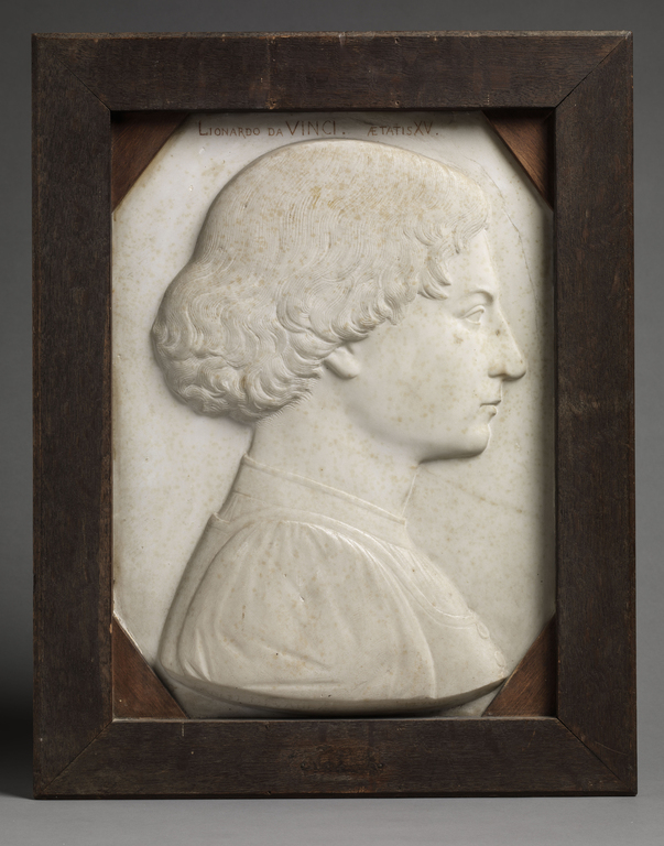 Léonard de Vinci à 15 ans_0