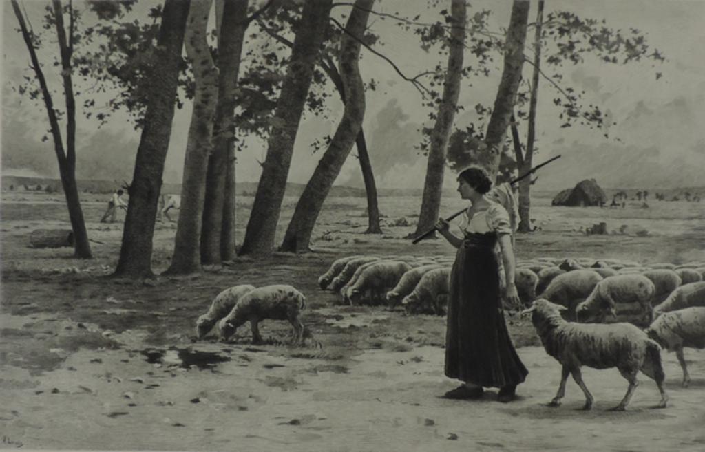Troupeau de moutons au pâturage_1