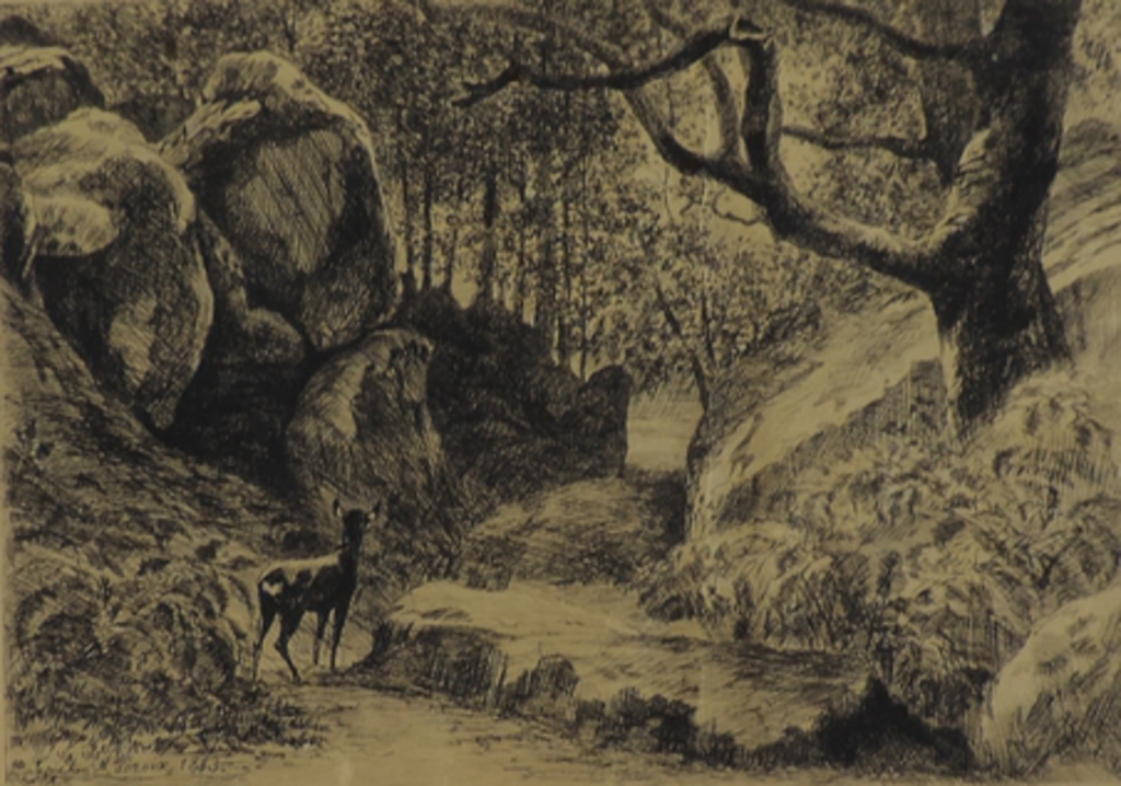 La Gorge aux loups. Forêt de Fontainebleau_1