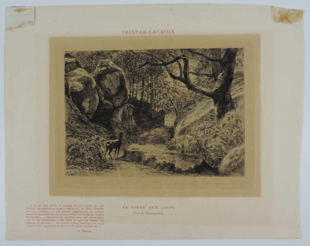 La Gorge aux loups. Forêt de Fontainebleau_0