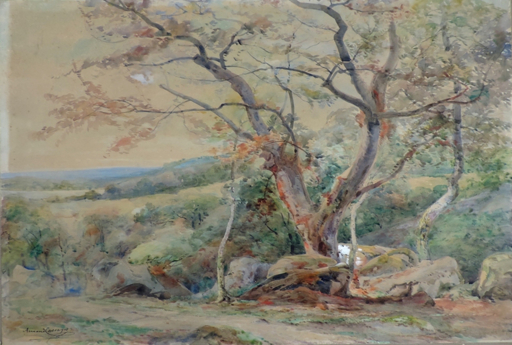 Chêne et rochers, Armand Théophile Cassagne