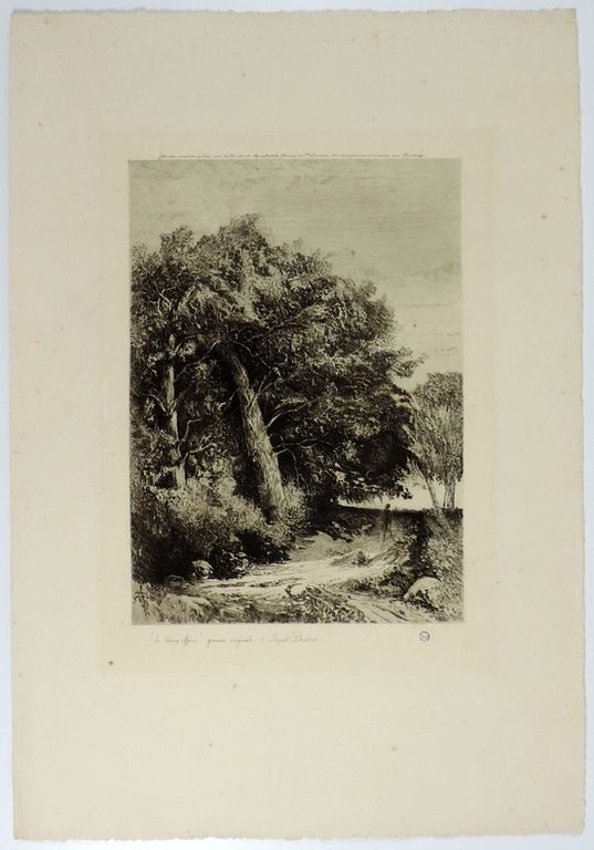 Le Vieux chêne, Léopold Desbrosses, 1906